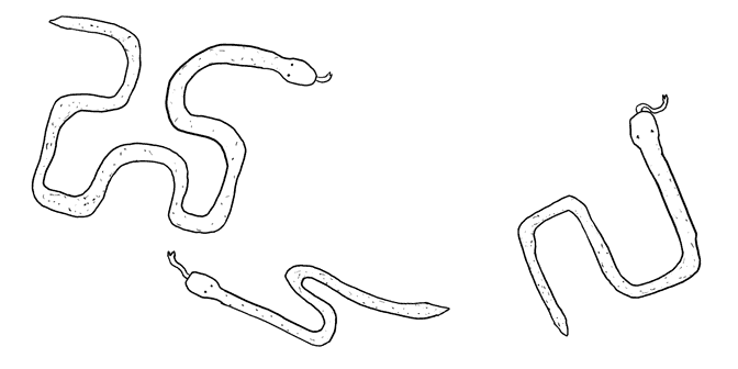 snake curves